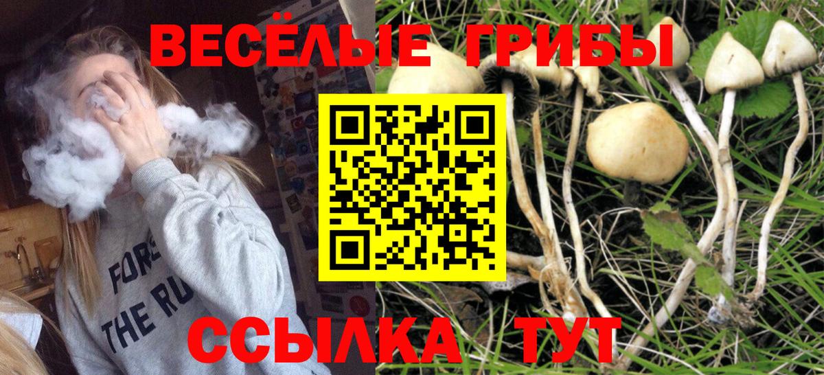 Псилоцибиновые грибы Cubensis Тобольск