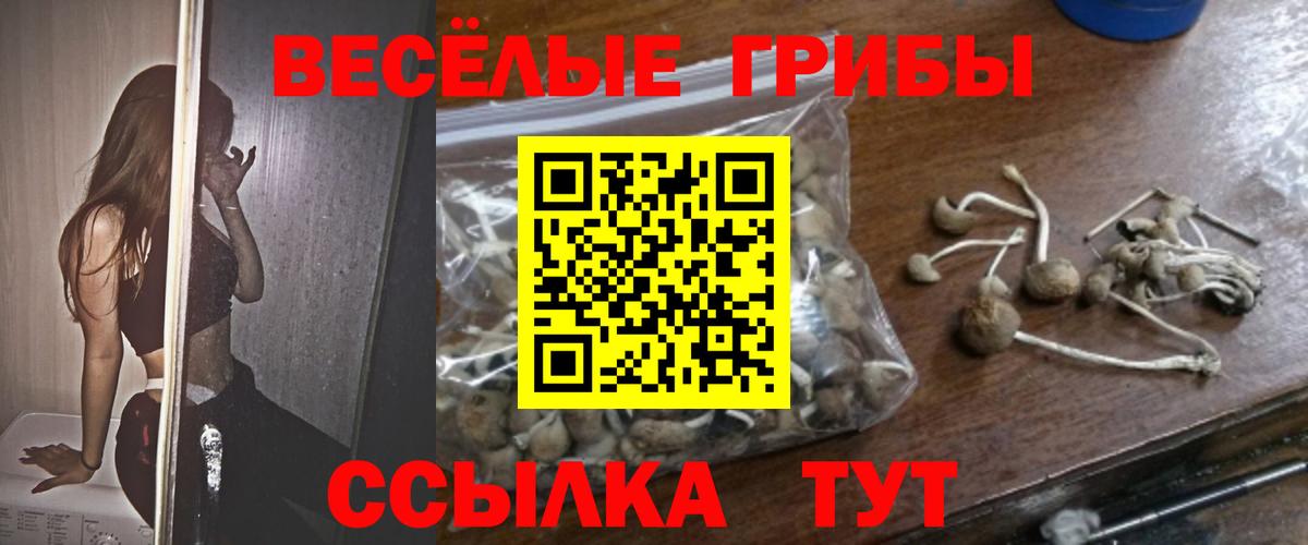 Галлюциногенные грибы Psilocybe  Вход с VPN  где можно купить   Тобольск 